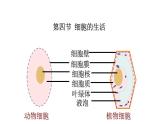 （人教版）初中生物七年級上冊同步教學(xué)2.1.4 細(xì)胞的生活 （課件）