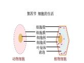 （人教版）初中生物七年级上册同步教学2.1.4 细胞的生活 （课件）