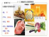 （人教版）初中生物七年級上冊同步教學(xué)2.1.4 細(xì)胞的生活 （課件）