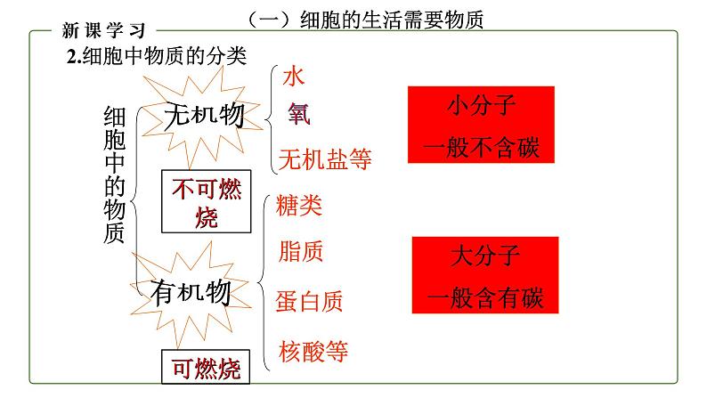 （人教版）初中生物七年级上册同步教学2.1.4 细胞的生活 （课件）06