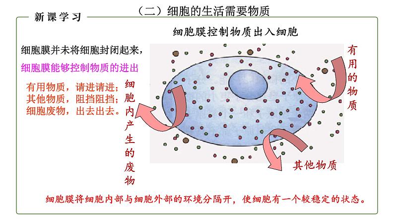 （人教版）初中生物七年级上册同步教学2.1.4 细胞的生活 （课件）08