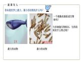 （人教版）初中生物七年级上册同步教学2.2.4 单细胞生物 （课件）