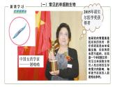 （人教版）初中生物七年级上册同步教学2.2.4 单细胞生物 （课件）