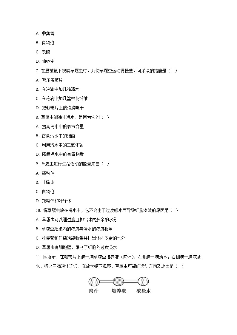 （人教版）初中生物七年级上册同步教学2.2.4 单细胞生物 （习题）02