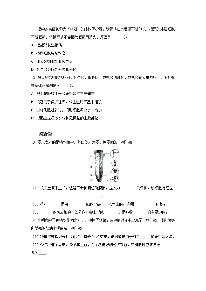（人教版）初中生物七年级上册同步教学3.2.2 植株的生长 （习题）03