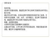 （人教版）初中生物七年級上冊同步教學(xué)3.1.2 種子植物（課件）