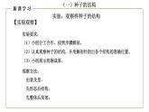 （人教版）初中生物七年級上冊同步教學(xué)3.1.2 種子植物（課件）