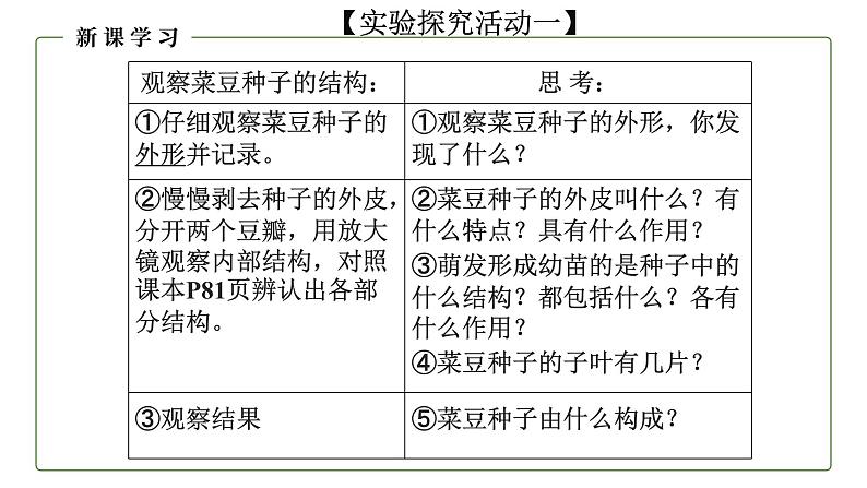 （人教版）初中生物七年级上册同步教学3.1.2 种子植物（课件）06