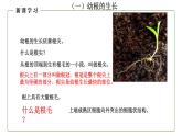 （人教版）初中生物七年級上冊同步教學(xué)3.2.2 植株的生長 （課件）