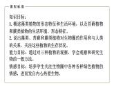（人教版）初中生物七年级上册同步教学3.1.1 藻类、苔藓和蕨类植物 （课件）