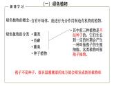 （人教版）初中生物七年级上册同步教学3.1.1 藻类、苔藓和蕨类植物 （课件）