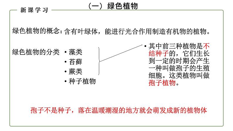 （人教版）初中生物七年级上册同步教学3.1.1 藻类、苔藓和蕨类植物 （课件）04