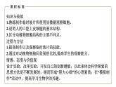 （人教版）初中生物七年級上冊同步教學(xué)2.1.3 動物細(xì)胞 （課件）