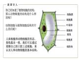 （人教版）初中生物七年級上冊同步教學(xué)2.1.3 動物細(xì)胞 （課件）