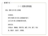 （人教版）初中生物七年級上冊同步教學(xué)2.1.3 動物細(xì)胞 （課件）