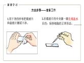 （人教版）初中生物七年級上冊同步教學(xué)2.1.3 動物細(xì)胞 （課件）