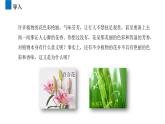 3.2.3开花和结果  课件  2021-2022学年初中生物人教版七年级上册