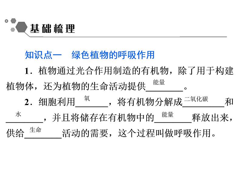 3.5.2　绿色植物的呼吸作用课件PPT第3页