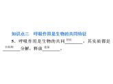 3.5.2　绿色植物的呼吸作用课件PPT