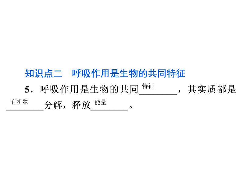 3.5.2　绿色植物的呼吸作用课件PPT第5页