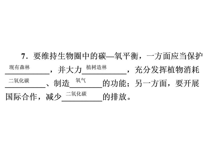 3.5.2　绿色植物的呼吸作用课件PPT第7页