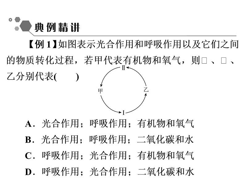 3.5.2　绿色植物的呼吸作用课件PPT第8页