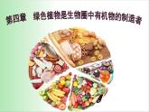绿色植物是生物圈中有机物的制造者 课件 2021——2022学年人教版七年级生物上册