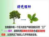 绿色植物是生物圈中有机物的制造者 课件 2021——2022学年人教版七年级生物上册