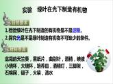 绿色植物是生物圈中有机物的制造者 课件 2021——2022学年人教版七年级生物上册