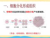 2.2.2动物体的结构层次课件2021--2022学年人教版七年级上册