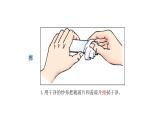 2.1.3  动物细胞  课件  2021-2022学年初中生物人教版七年级上册