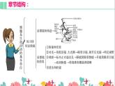 2.1復(fù)習(xí) 細(xì)胞是生命活動的基本單位  課件PPT