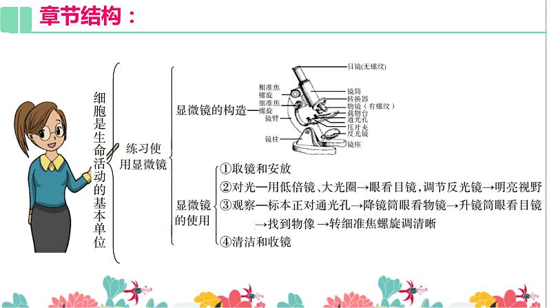 2.1复习 细胞是生命活动的基本单位  课件PPT第5页