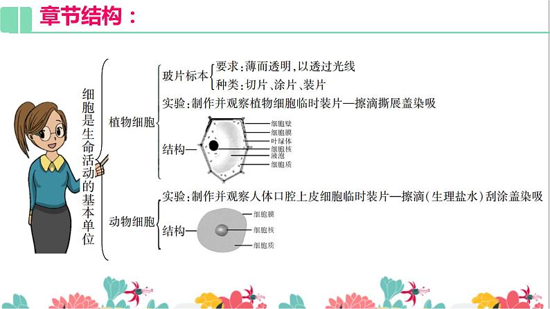 2.1复习 细胞是生命活动的基本单位  课件PPT第6页