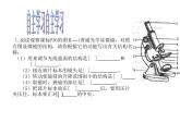 2.1.1练习使用显微镜 课件 2021—2022学年人教版生物七年级上册