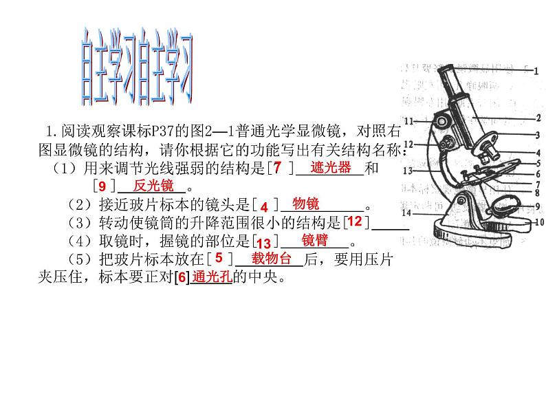 2.1.1练习使用显微镜 课件 2021—2022学年人教版生物七年级上册04