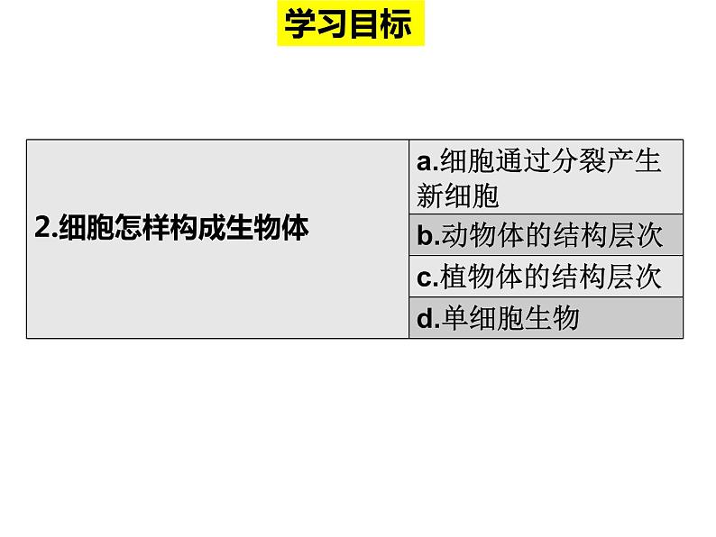 2.2复习 细胞怎样构成生物体课件PPT02