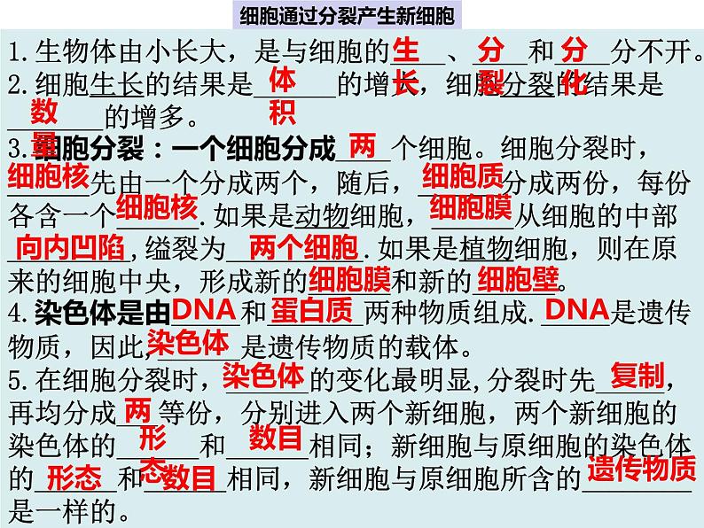 2.2复习 细胞怎样构成生物体课件PPT03