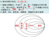 2.2复习 细胞怎样构成生物体课件PPT