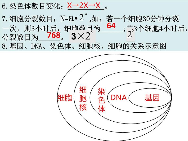 2.2复习 细胞怎样构成生物体课件PPT04