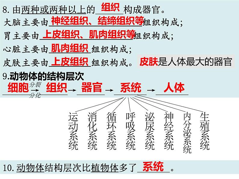 2.2复习 细胞怎样构成生物体课件PPT08