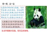 1.2.1 生物与环境的关系 课件 2021-2022学年人教版生物七年级上册