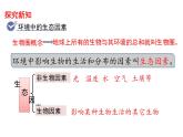 1.2.1 生物与环境的关系 课件 2021-2022学年人教版生物七年级上册