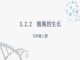 3.2.2  植株的生长  课件  2021-2022学年初中生物人教版七年级上册