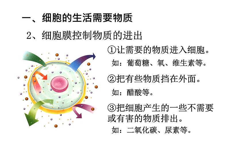 2.1.4  细胞的生活  课件  2021-2022学年人教版七年级生物上册第3页