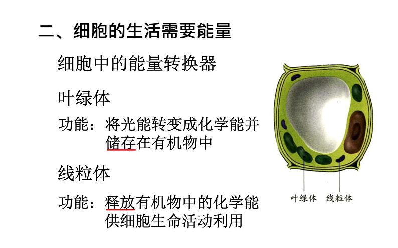 2.1.4  细胞的生活  课件  2021-2022学年人教版七年级生物上册第5页