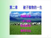 3.2.1 种子萌发 课件 2021——2022学年人教版七年级生物上册