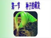 3.2.1 种子萌发 课件 2021——2022学年人教版七年级生物上册
