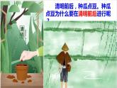 3.2.1 种子萌发 课件 2021——2022学年人教版七年级生物上册