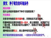 3.2.1 种子萌发 课件 2021——2022学年人教版七年级生物上册